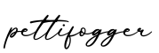单词pettifogger书写