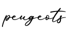 单词peugeots书写