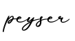 单词peyser书写