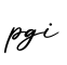 单词pgi书写