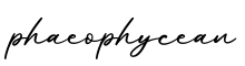 单词phaeophycean书写