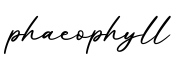 单词phaeophyll书写