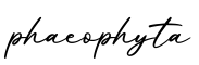 单词phaeophyta书写