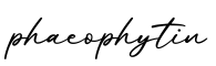 单词phaeophytin书写