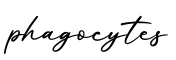 单词phagocytes书写