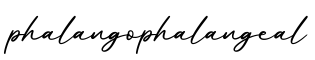 单词phalangophalangeal书写