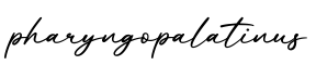 单词pharyngopalatinus书写