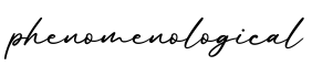单词phenomenological书写