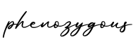 单词phenozygous书写