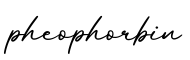 单词pheophorbin书写