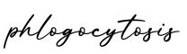 单词phlogocytosis书写