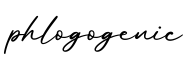 单词phlogogenic书写