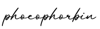 单词phoeophorbin书写