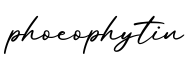 单词phoeophytin书写
