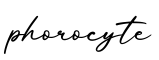 单词phorocyte书写