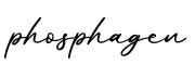 单词phosphagen书写