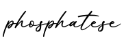 单词phosphatese书写