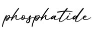 单词phosphatide书写