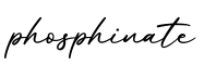 单词phosphinate书写