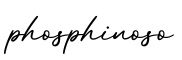 单词phosphinoso书写