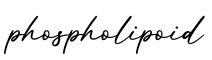 单词phospholipoid书写