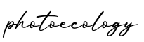 单词photoecology书写