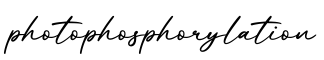 单词photophosphorylation书写