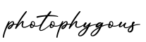单词photophygous书写