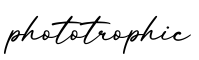 单词phototrophic书写