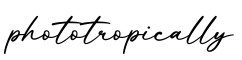 单词phototropically书写