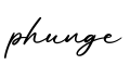 单词phunge书写