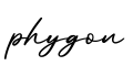 单词phygon书写