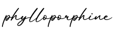 单词phylloporphine书写