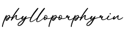 单词phylloporphyrin书写
