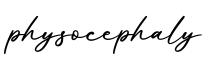 单词physocephaly书写
