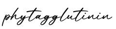 单词phytagglutinin书写