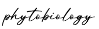 单词phytobiology书写
