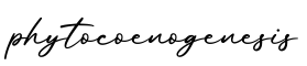 单词phytocoenogenesis书写