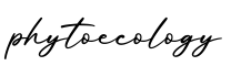 单词phytoecology书写