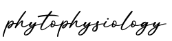 单词phytophysiology书写