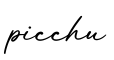 单词picchu书写