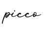 单词picco书写