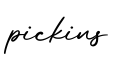 单词pickins书写