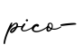 单词pico-书写