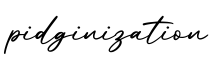 单词pidginization书写