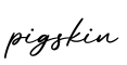 单词pigskin书写