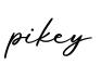 单词pikey书写