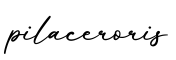 单词pilaceroris书写
