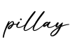 单词pillay书写