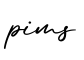 单词pims书写